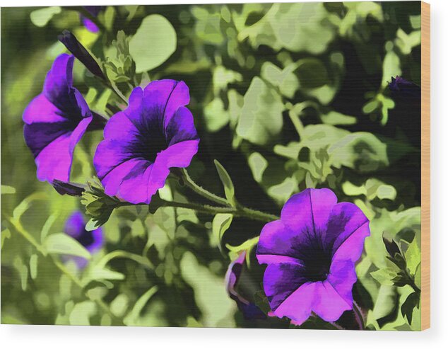 Petunias Wood Print featuring the digital art Purple Petunias by Xine Segalas