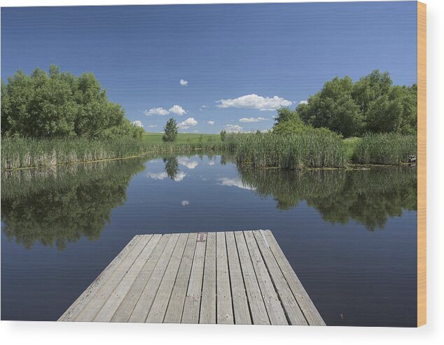 Agriculture Wood Print featuring the photograph Quietness by Jon Glaser