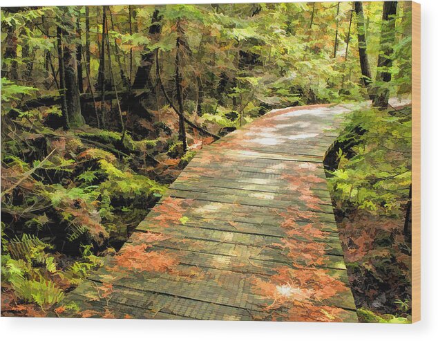 Door County Wood Print featuring the painting Ridges Sanctuary Boardwalk by Christopher Arndt