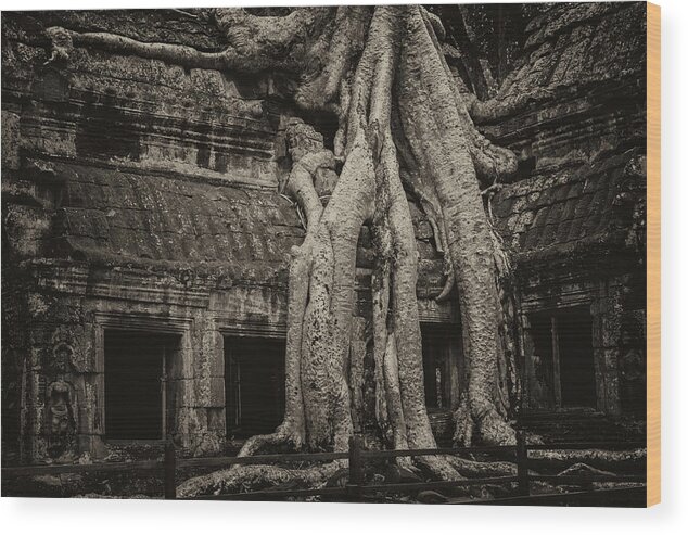 Angkor Wood Print featuring the photograph Roots In Ruins 3, Ta Prohm, 2014 by Hitendra SINKAR