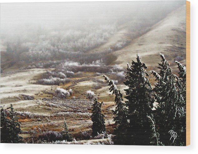 Landscape Wood Print featuring the photograph Roundup Frost by Darcy Dietrich