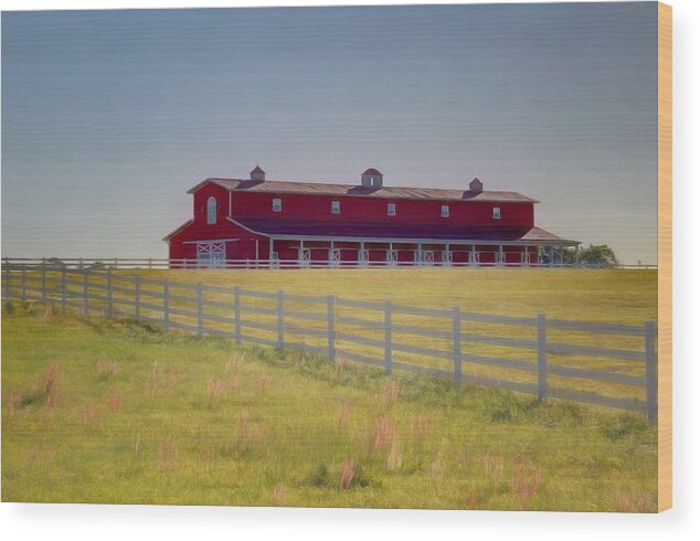 Barns Wood Print featuring the photograph Rural Alabama by Donna Kennedy