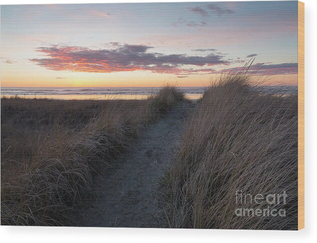 Late Winter Wood Print featuring the photograph Seaside Trail by Idaho Scenic Images Linda Lantzy