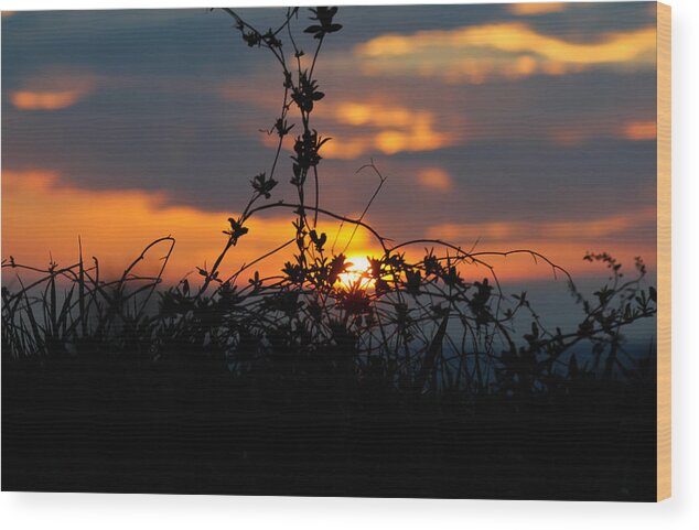 Landscape Wood Print featuring the photograph Shades of Sun by Everett Houser