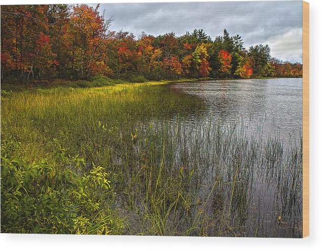 Fall Wood Print featuring the photograph Silver Lake by Robert Clifford