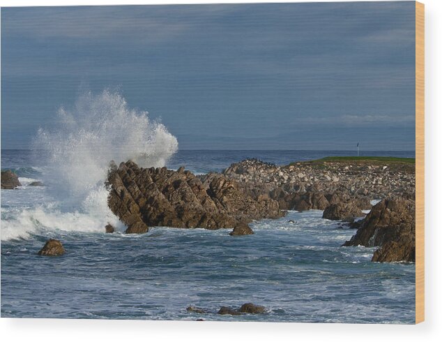 Beach Wood Print featuring the photograph Spanish Bay Golf Ocean Wave by Connie Cooper-Edwards