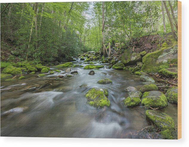 Art Wood Print featuring the photograph Stream in the Smokies by Jon Glaser