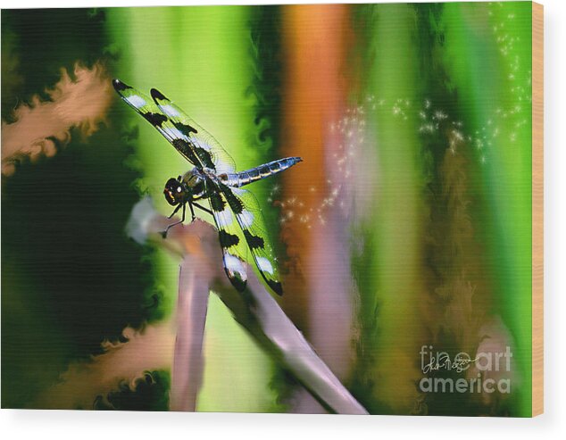 Dragonfly Wood Print featuring the photograph Striped Dragonfly by Lisa Redfern