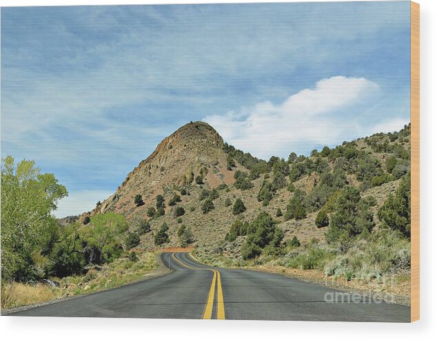 Sugarloaf Mountain Wood Print featuring the photograph Sugarloaf Mountain in Six Mile Canyon by Benanne Stiens