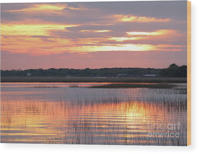 South Carolina Wood Print featuring the photograph Sunset in South Carolina by Benedict Heekwan Yang