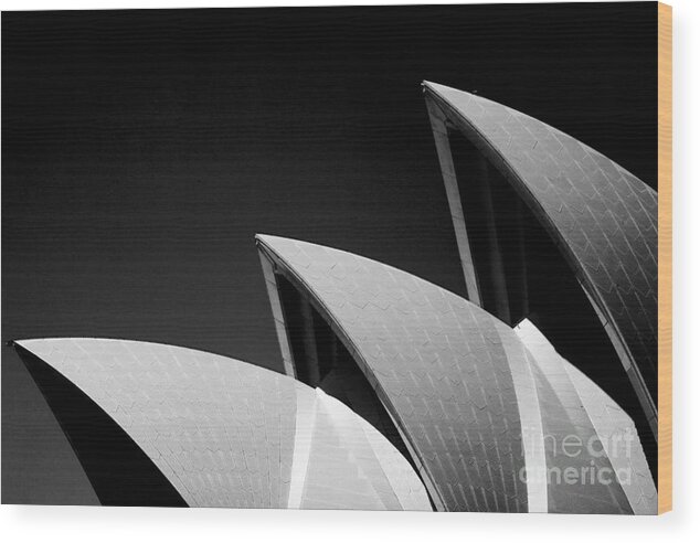 Sydney Opera House Iconic Building Black And White Monochrome Wood Print featuring the photograph Sydney Opera House by Sheila Smart Fine Art Photography