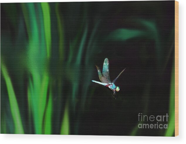 Dragonfly Wood Print featuring the digital art Taking Flight by Lisa Redfern