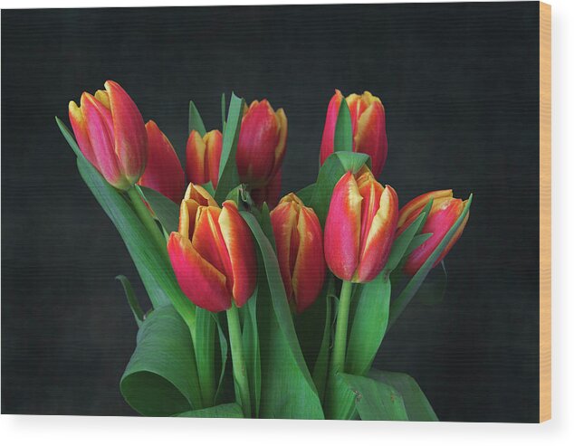 Beauty Product Wood Print featuring the photograph Bouquet of red tulips by Giovanni Allievi