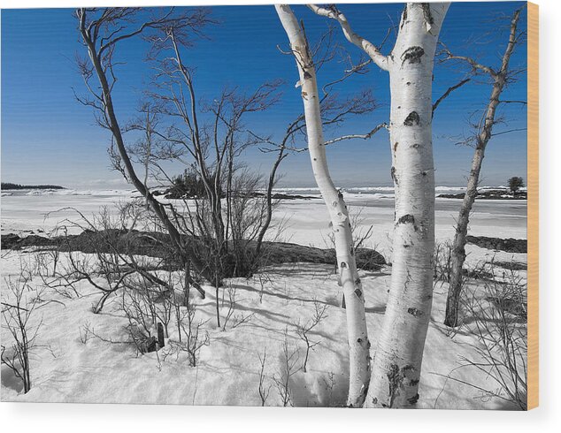 Lake Superior Wood Print featuring the photograph Waiting for Spring by Doug Gibbons