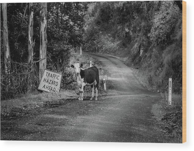 Australia Wood Print featuring the photograph Who Me by Az Jackson