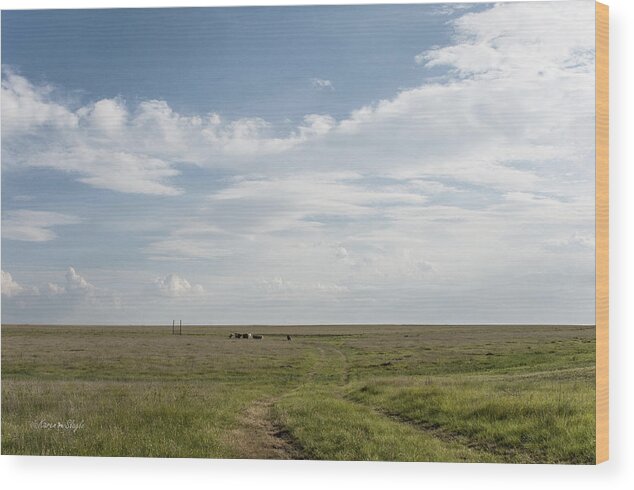 Texas Wood Print featuring the photograph Wide Open Spaces by Karen Slagle