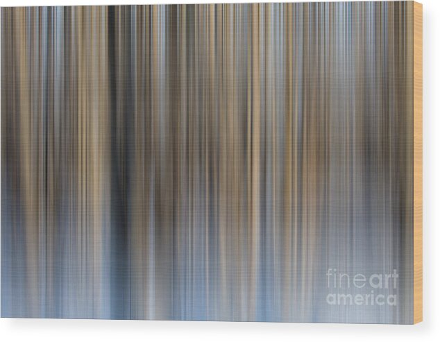 Abstract Wood Print featuring the photograph Winter Forest by Roger Monahan
