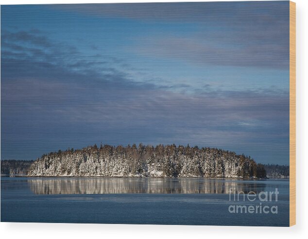 Bay Wood Print featuring the photograph Winter on Taunton Bay by Susan Cole Kelly