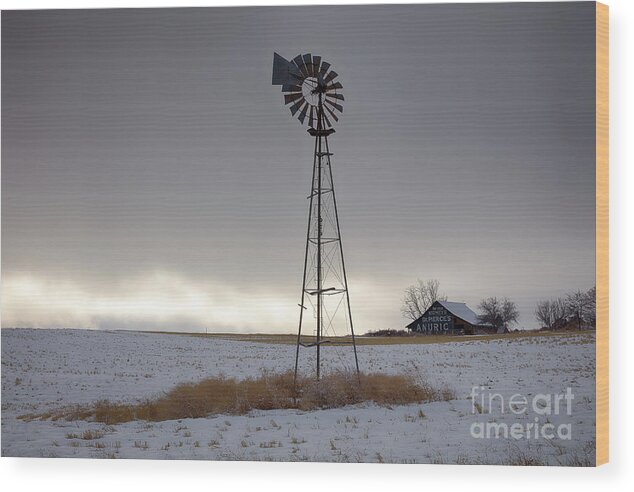 Washington Wood Print featuring the photograph Winter Light #1 by Idaho Scenic Images Linda Lantzy