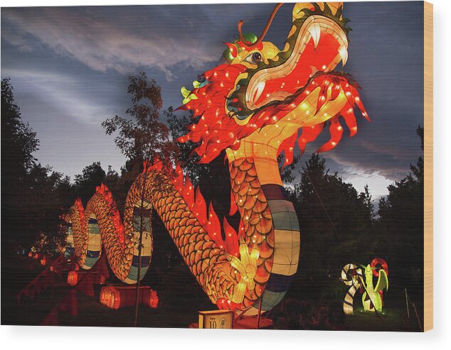 Dragon Wood Print featuring the photograph Dragon Lights by Fred DeSousa