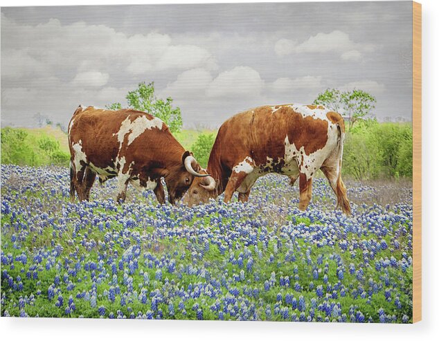 Longhorns Wood Print featuring the photograph Head to Head by Linda Lee Hall