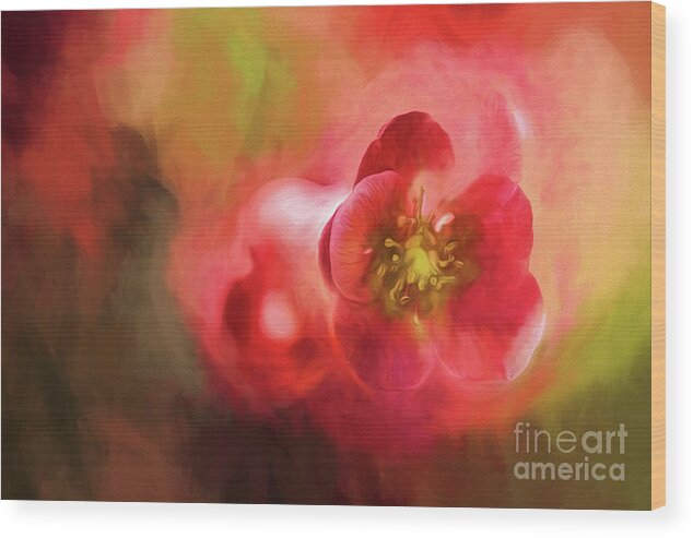 Flowering Quince Wood Print featuring the photograph Heart Centered Love by Mary Lou Chmura