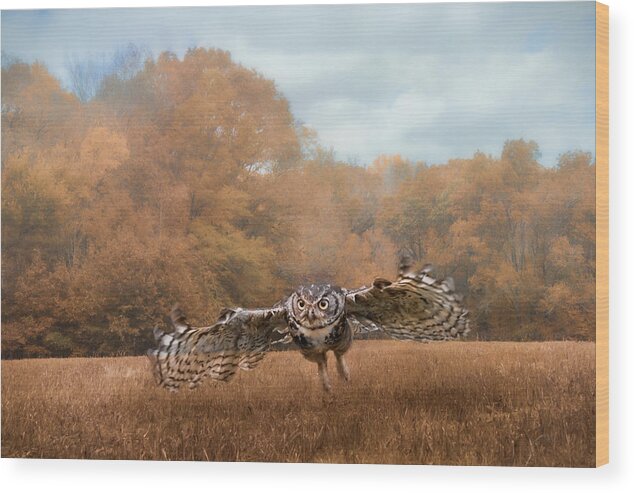 Jai Johnson Wood Print featuring the photograph Morning Mouse Hunting by Jai Johnson