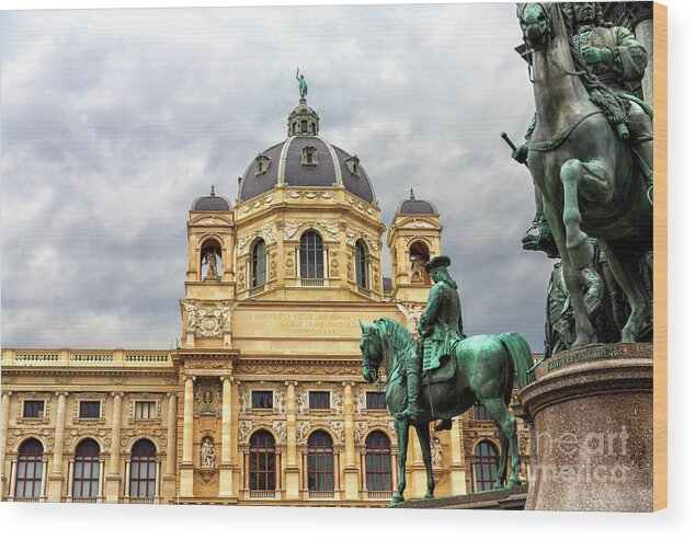 Museum Of Natural History In Vienna Wood Print featuring the photograph Museum of Natural History in Vienna by John Rizzuto