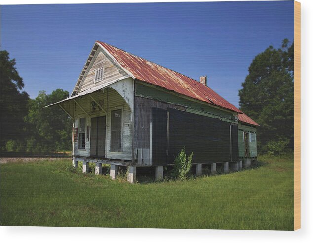 Florida Wood Print featuring the photograph No Longer Standing by Kelly Gomez