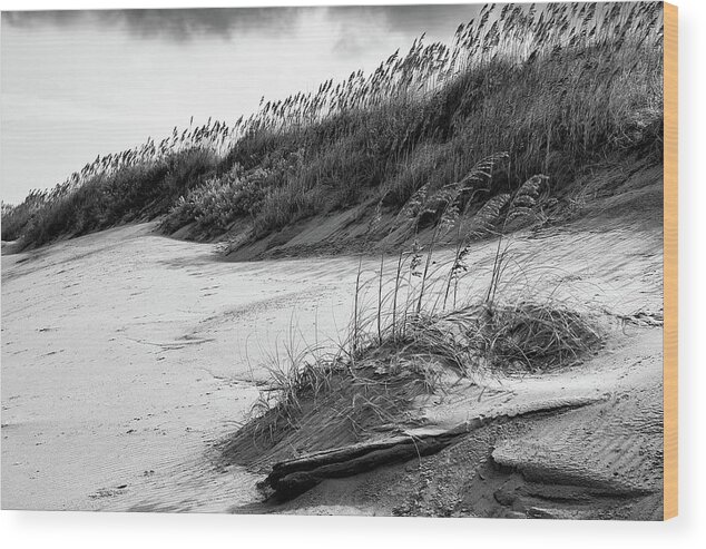 North Carolina Wood Print featuring the photograph Outer Banks Sea Oats and Dunes by Dan Carmichael