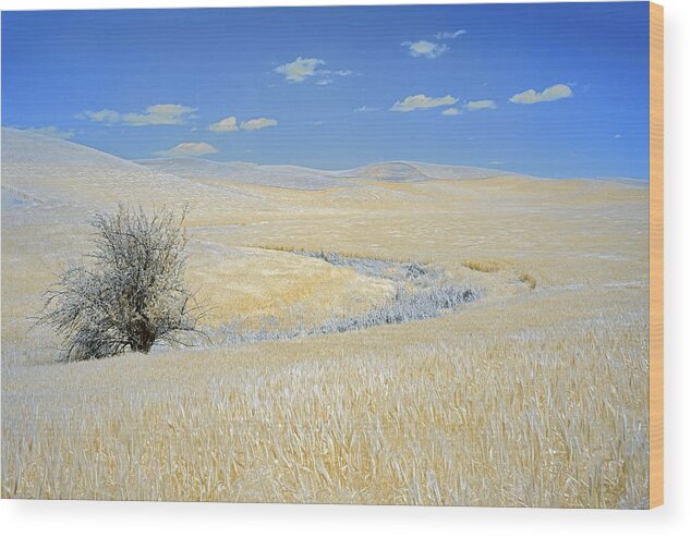 Palouse Wood Print featuring the photograph Palouse Tree by Jon Glaser