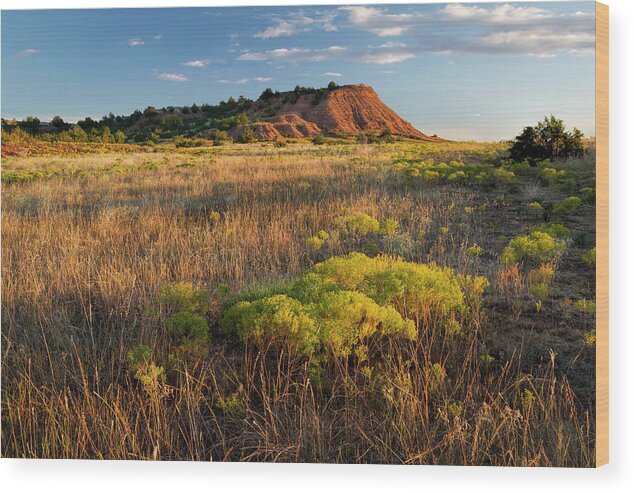 America Wood Print featuring the photograph Red Hills Evening by Scott Bean