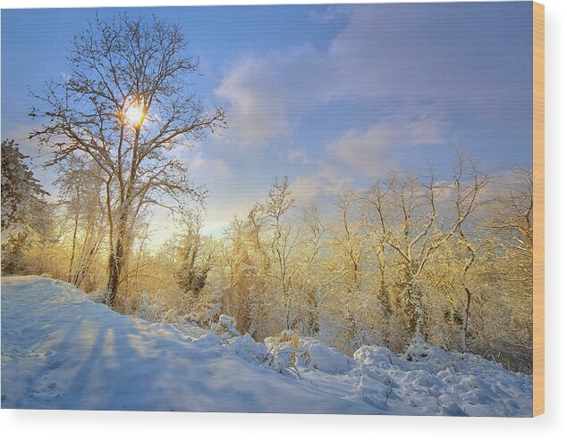 Snow Capped Wood Print featuring the photograph Snowy morning by Giovanni Allievi