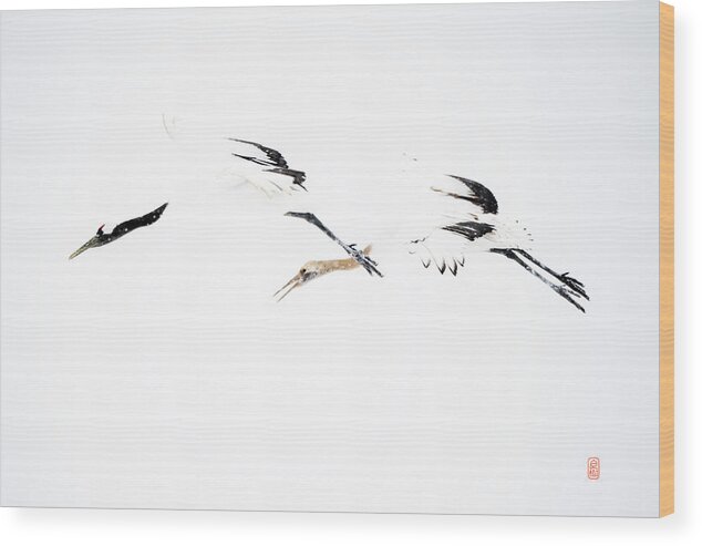 Snow Wood Print featuring the photograph Tancho crane #1 by Yoshiki Nakamura