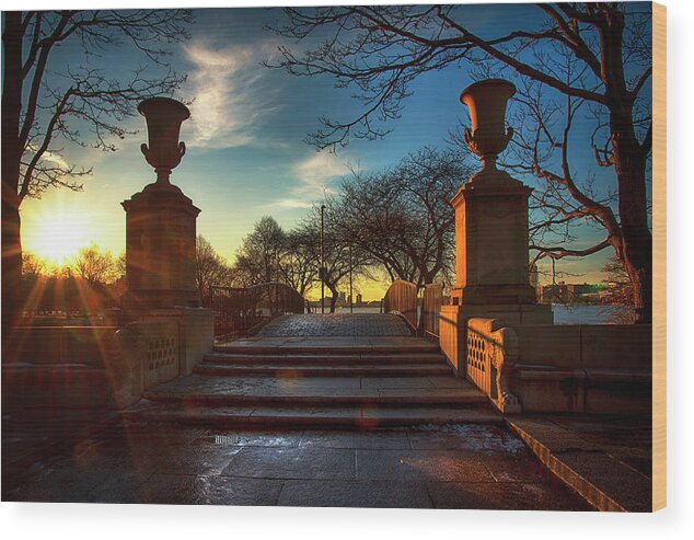 Charles River Wood Print featuring the photograph Charles River Esplanade - Boston #3 by Joann Vitali