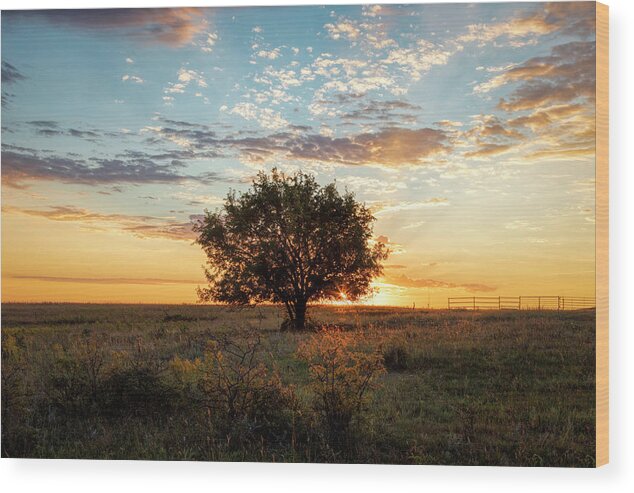 Blue Sky Wood Print featuring the photograph A Sunrise Moment by Scott Bean