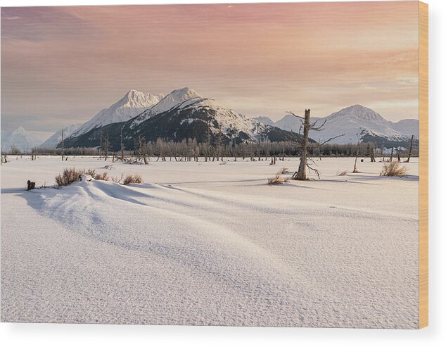 Alaska Puzzle Wood Print featuring the photograph Alaska Winter Puzzle by Scott Slone