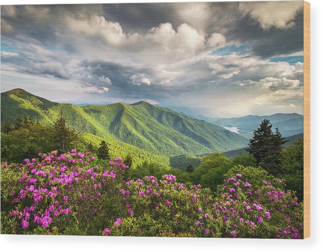 North Carolina Wood Print featuring the photograph Asheville NC Blue Ridge Parkway Spring Flowers by Dave Allen