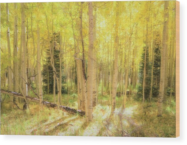 Silverton Wood Print featuring the photograph Aspens Golden Glow 2 by Donna Kennedy