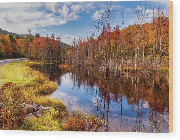 Fall Wood Print featuring the photograph Autumn Restful Reflections by Dan Carmichael