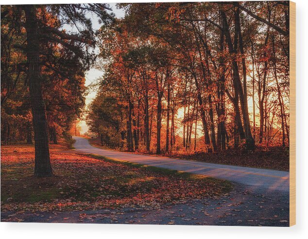 Fall Wood Print featuring the photograph Autumn Sunset Through the Trees by Dan Carmichael