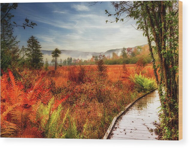 Fall Wood Print featuring the photograph Autumn West Virginia Foggy Meadow Morning by Dan Carmichael