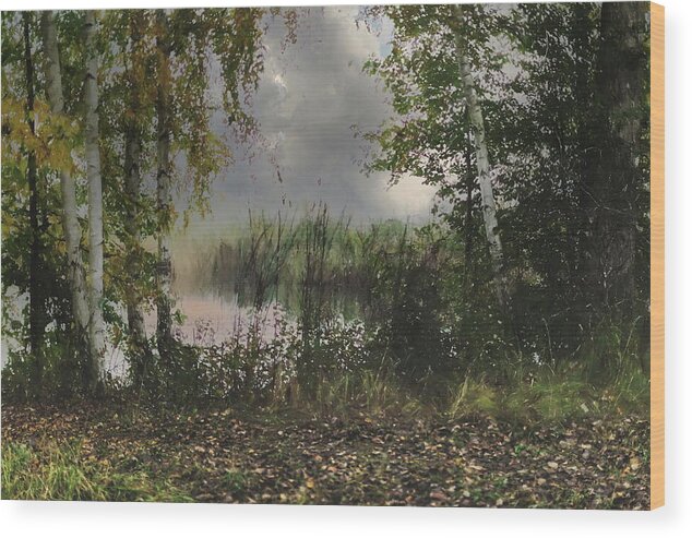 Autumn Season Wood Print featuring the photograph Beauty For My Autumn Soul.. by Aleksandrs Drozdovs