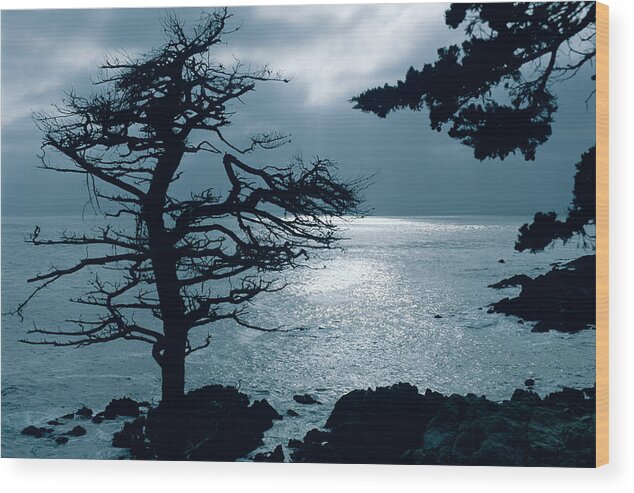 Lone Cypress Wood Print featuring the photograph Lone Cypress - Silhouette - Big Sur - Monterey - California. by Bonnie Colgan