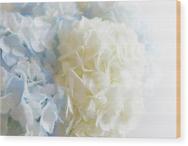Blue Wood Print featuring the photograph Blue Hydrangea by Connie Carr