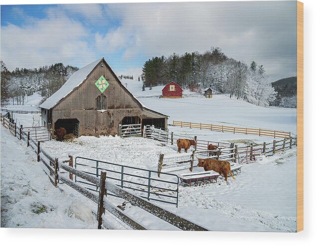 Landscape Wood Print featuring the photograph Blue Ridge Mountains North Carolina Rustic Winter by Robert Stephens