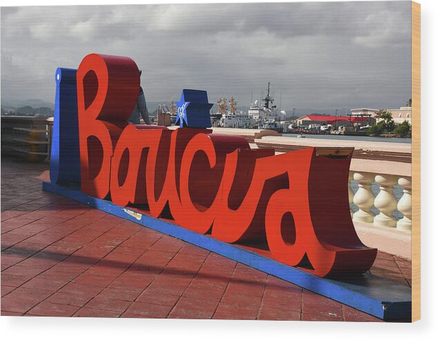 Historic Wood Print featuring the photograph Boricua by Angelito De Jesus