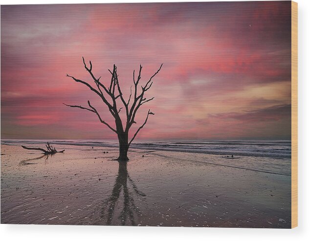 Nature Wood Print featuring the photograph Botany Bay Oak at Sunrise by Jon Glaser