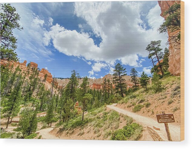 Bryce Canyon National Wood Print featuring the photograph Bryce Canyon Hiking by Jessica Yurinko
