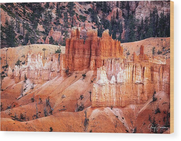 2020 Utah Trip Wood Print featuring the photograph Bryce Canyon Hoodoos by Gary Johnson
